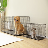 Double Door Dog Crate Folding Metal Wire Pet Kennel with Divider Panel & Leak-Proof Tray Black