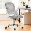 IULULU Office Chair Ergonomic Mesh with Fixed Armrest