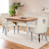IULULU Dining Chairs Set of 2 with Stainless Steel Legs and Lion Head Handles