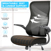 IULULU Ergonomic Office Chair, High Back Mesh with Lumbar Support, Flip-up Arms