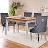 IULULU Dining Chairs Set of 2 with Stainless Steel Legs and Lion Head Handles