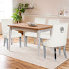 IULULU Dining Chairs Set of 2 with Stainless Steel Legs and Lion Head Handles