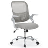 IULULU Office Chair Ergonomic Mesh with Fixed Armrest
