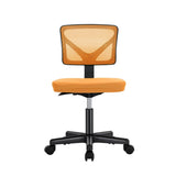 Atilioo Office Chair, Ergonomic Low-Back Mesh Computer Desk Chair with Lumbar Support, Armless Swivel Rolling Chair for Home Bedroom Study Office, Ideal for Students and Adults