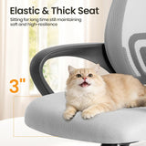 IULULU Office Desk Chair - Ergonomic Mid Back with Lumbar Support & Rocking Mode, Height Adjustable with Fixed Armrest, Storage Back for Computer, Gaming, Conference, Meeting Room, 360° Swivel