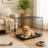LIFERECORD Foldable Metal Dog Crate with Single Doors, Kennel with Divider Panel, Safe for Puppy Training, Home & Travel