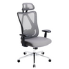 IULULU Office Chair, Comfy Swivel Mesh with Adjustable Support, 2D Arms, 135° Tilt