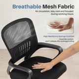 Atilioo Ergonomic Office Chair with Lumbar Support, Adjustable Mesh Computer Desk Chair Mid Back Swivel with Armrests, Black